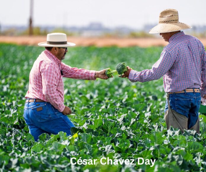 César Chávez Day Holiday.